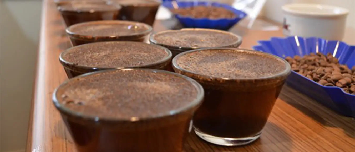 Eine Darstellung einer Kaffeeverkostung. Cupping bei der Kaffeerösterei Martermühle