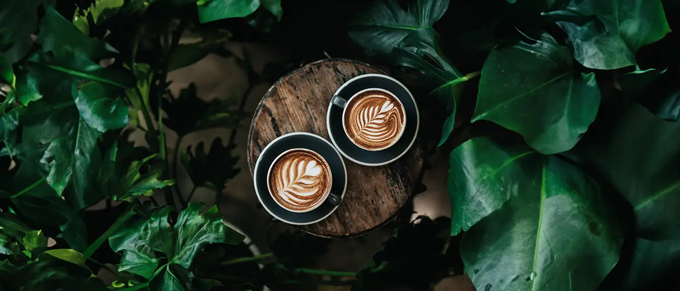 Cappuccino, Latte Machiato oder lieber Milchkaffee?