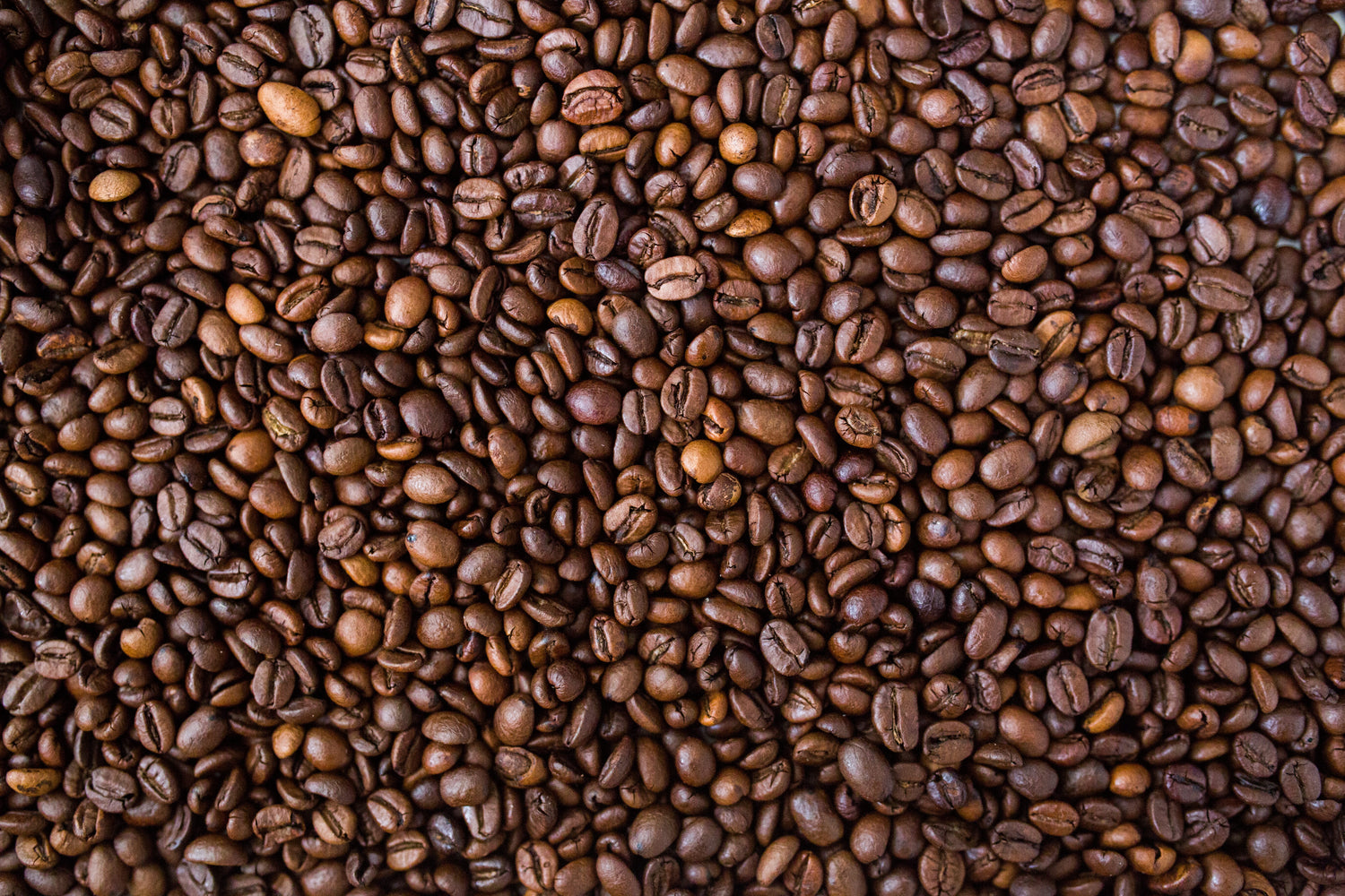 Top View auf geröstete Kaffeebohnen der Kaffeerösterei Martermühle