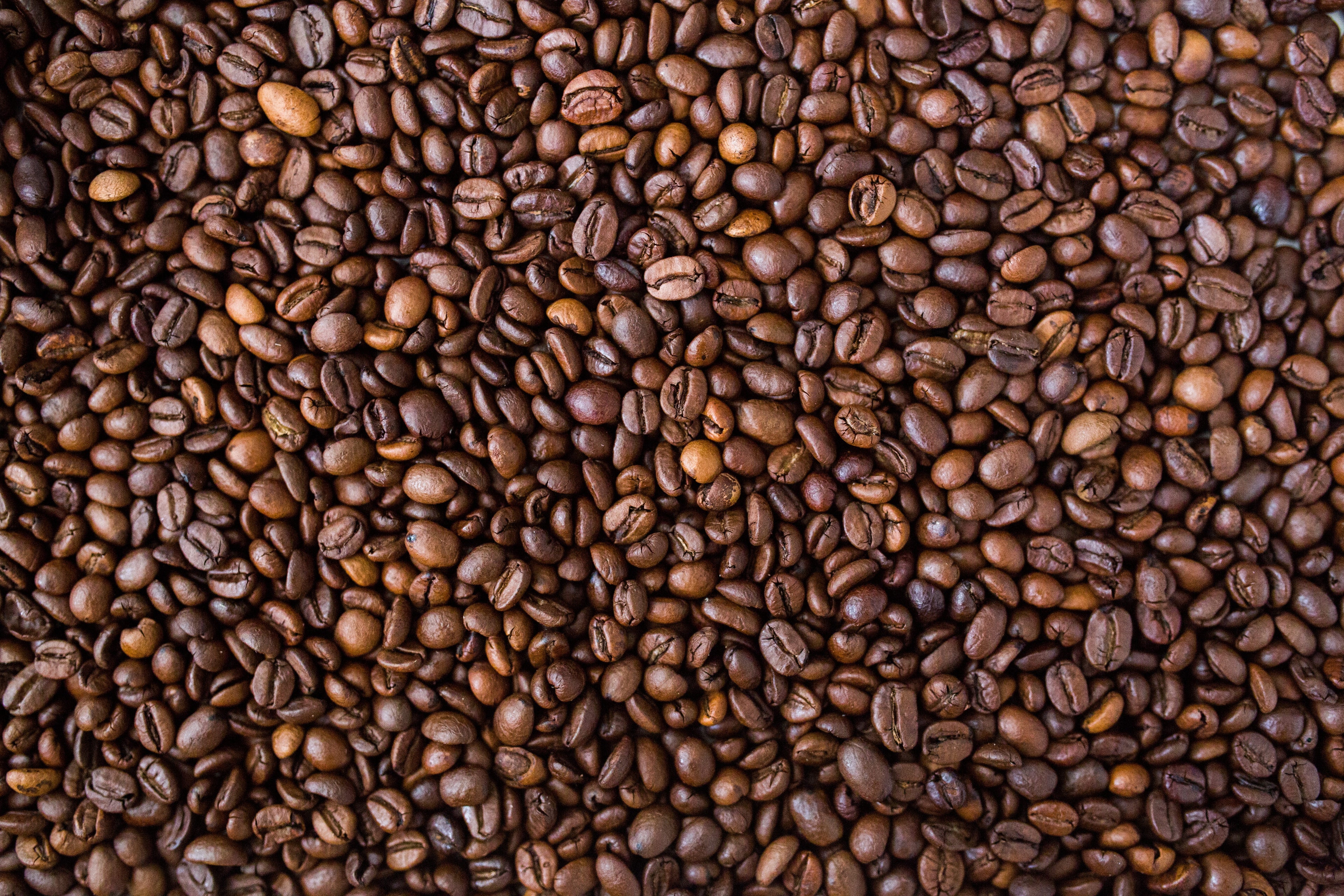 Was genau ist Koffein? - Martermühle